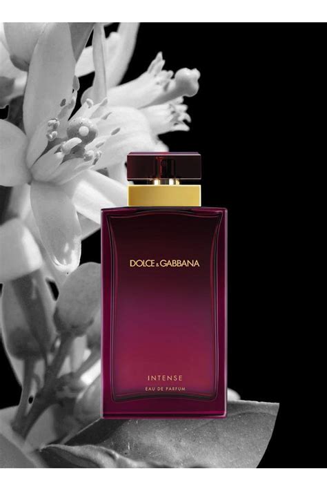 dolce gabbana intense women|More.